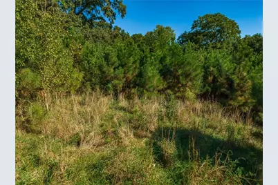 0 Wallace Tatum Road, Cumming, GA 30028 - Photo 9