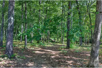 109 W Lake Boulevard, Carrollton, GA 30116 - Photo 51