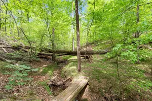 4425 Woodside Ct, Cumming, GA 30041 - Photo 35