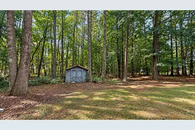 20 Bartlett Drive, Sharpsburg, GA 30277 - Photo 23