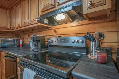 157 Sunrise Lane, Blue Ridge, GA 30513 - Photo 15