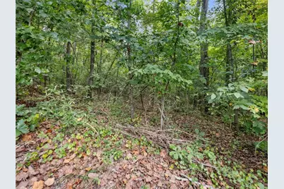 433 Emily Forest Way, Pendergrass, GA 30567 - Photo 53