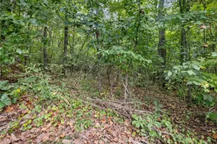 433 Emily Forest Way, Pendergrass, GA 30567 - Photo 53