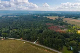 1810 Sandy Flat Rd, Bowdon, GA 30108 - Photo 37