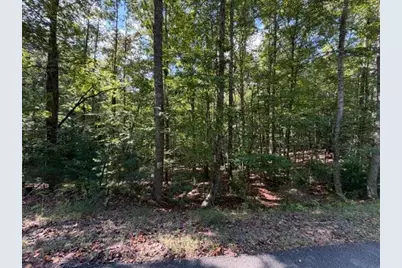 556 Satsuma Court S, Ellijay, GA 30540 - Photo 5