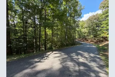 556 Satsuma Court S, Ellijay, GA 30540 - Photo 3