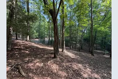 556 Satsuma Court S, Ellijay, GA 30540 - Photo 11