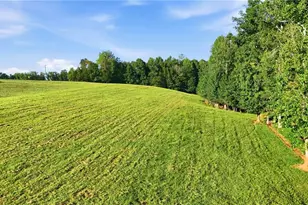 1133 Ricky West Rd, Cleveland, GA 30528 - Photo 63