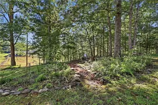 1133 Ricky West Rd, Cleveland, GA 30528 - Photo 47