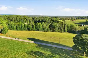 1133 Ricky West Rd, Cleveland, GA 30528 - Photo 65