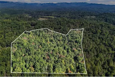 108 Charlottes Web Lane, Ellijay, GA 30540 - Photo 3
