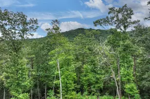528 Cloudland Dr, Ellijay, GA 30536 - Photo 9