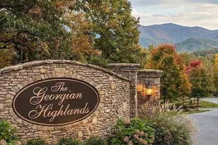 528 Cloudland Dr, Ellijay, GA 30536 - Photo 63