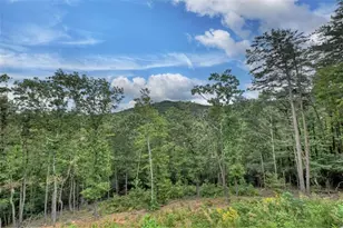 528 Cloudland Dr, Ellijay, GA 30536 - Photo 61