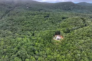 528 Cloudland Dr, Ellijay, GA 30536 - Photo 63