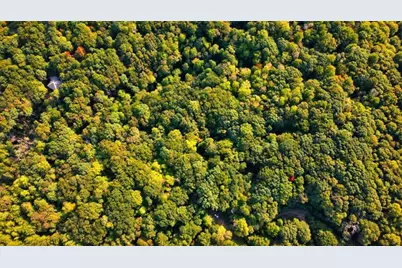 14.06 Old Burnt Mountain Road, Ellijay, GA 30536 - Photo 39