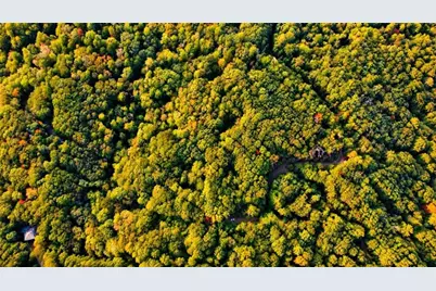 14.06 Old Burnt Mountain Road, Ellijay, GA 30536 - Photo 47