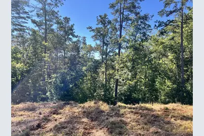 Lt 229 Woodstone Trail, Ellijay, GA 30540 - Photo 7