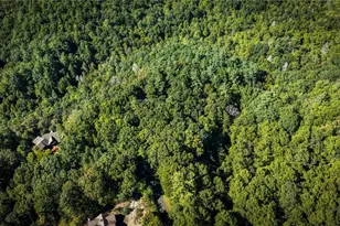 241 Wilderness Way, Ellijay, GA 30536 - Photo 107
