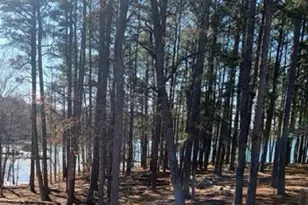 6090 Shadburn Ferry Rd, Buford, GA 30518 - Photo 29