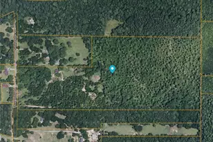 169 Silver Dollar Rd, Barnesville, GA 30204 - Photo 3