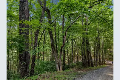 0 Paradise Lane, Blue Ridge, GA 30513 - Photo 19