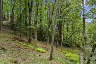 0 Paradise Lane, Blue Ridge, GA 30513 - Photo 1