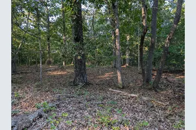 0 Jay Green Road, Canton, GA 30115 - Photo 5