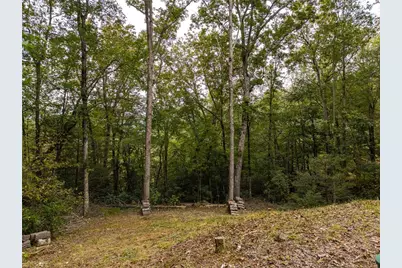 361 Jones Road, Ellijay, GA 30536 - Photo 21