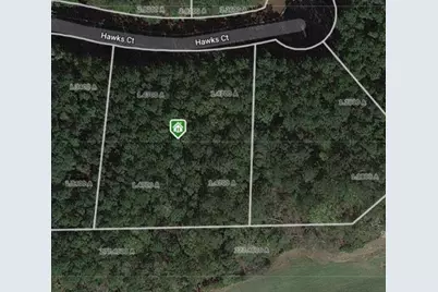 120 Hawks Court, Ball Ground, GA 30107 - Photo 3