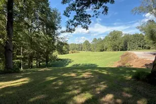 7375 Bear Mountain Rd, Dawsonville, GA 30534 - Photo 67