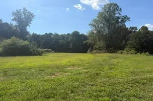 7375 Bear Mountain Rd, Dawsonville, GA 30534 - Photo 71