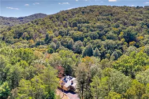 1918 Big Creek Rd, Cherry Log, GA 30522 - Photo 69