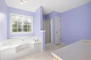 139 Wellington Walk, Douglasville, GA 30134 - Photo 29