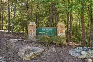 415 Sharp Mountain Pkwy, Jasper, GA 30143 - Photo 79