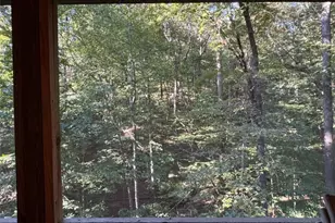 7 Citron Ct, Ellijay, GA 30540 - Photo 25