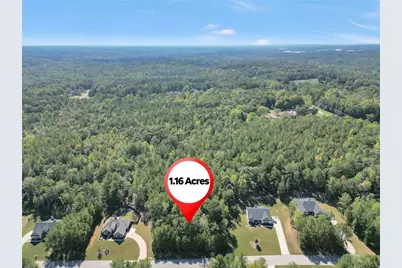 60 Hawthorn Lane, Covington, GA 30014 - Photo 1