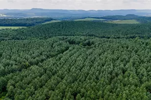 0 Tract 3 Back Valley Rd, Lyerly, GA 30730 - Photo 1