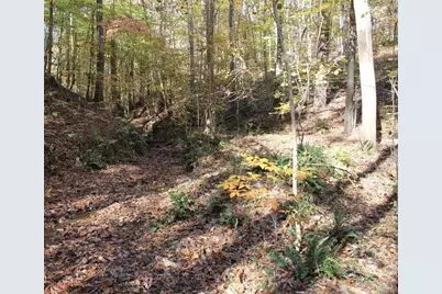 442 Laurel Mountain Drive, Toccoa, GA 30577 - Photo 13