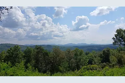 Lot 23 Mountain Laurel Ridge, Mineral Bluff, GA 30559 - Photo 3