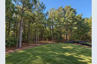 216 Magnolia Villas Drive, Cornelia, GA 30531 - Photo 43