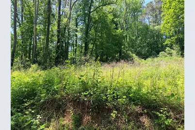 0 Old Hwy 5 S, Ellijay, GA 30540 - Photo 5