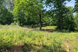 0 Old Hwy 5 S, Ellijay, GA 30540 - Photo 1