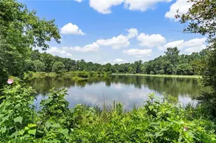 4553 Park Dr, Pine Lake, GA 30072 - Photo 81
