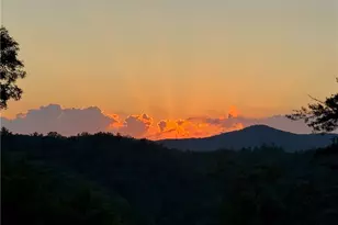 800 Mango Lane, Ellijay, GA 30540 - Photo 53