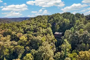 800 Mango Lane, Ellijay, GA 30540 - Photo 59