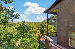 800 Mango Lane, Ellijay, GA 30540 - Photo 51