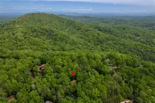 305 Martin Crossing, Cherry Log, GA 30522 - Photo 39