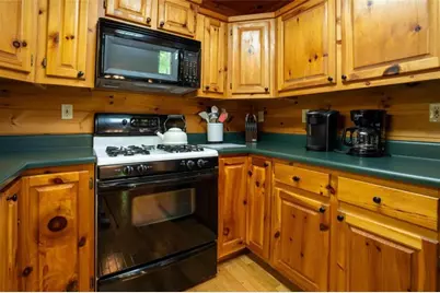 305 Martin Crossing, Cherry Log, GA 30522 - Photo 7