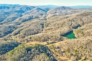 138 Lucius Lane, Cherrylog, GA 30522 - Photo 45